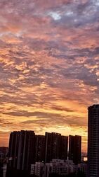 Blk 311A Trivelis (Clementi), HDB 4 Rooms #634255591